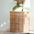 How Long Does it Take for an Air Purifier to Make a Difference?