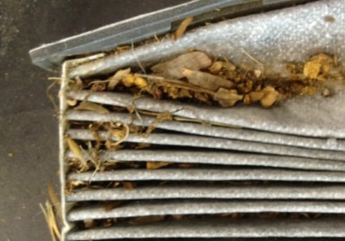 How Long Should You Really Change Your Air Filter?